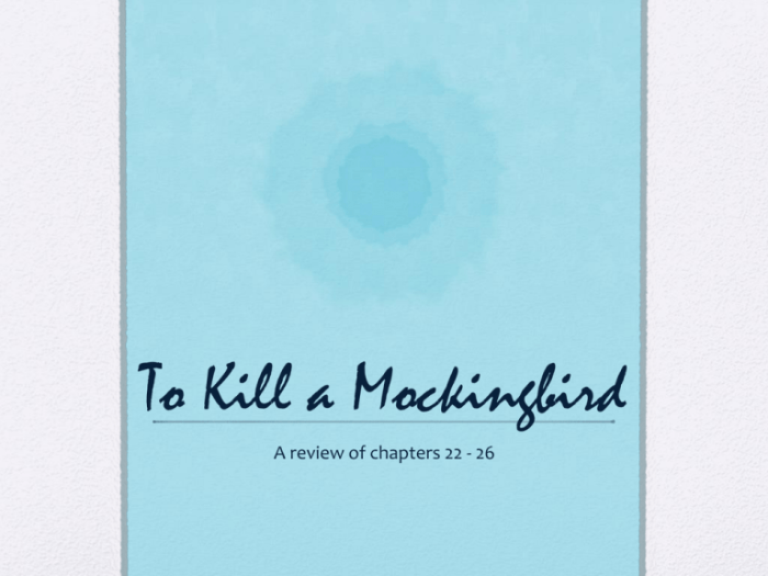 Ch 31 to kill a mockingbird