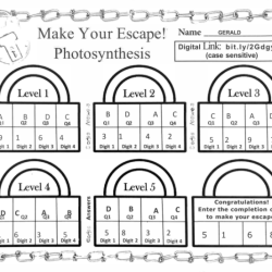 Photosynthesis escape room answer key