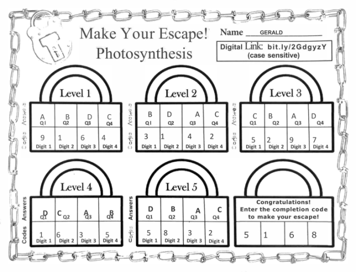 Photosynthesis escape room answer key