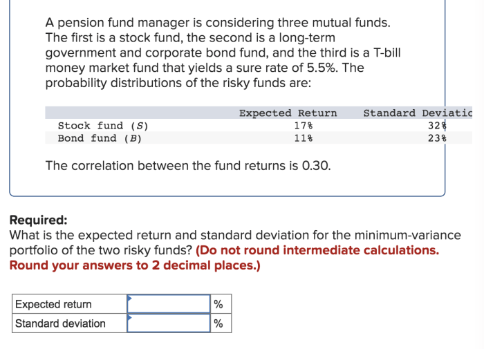 A pension fund manager is considering three