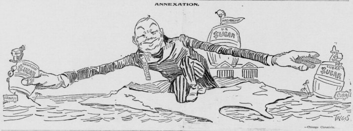 Annexation of hawaii political cartoon