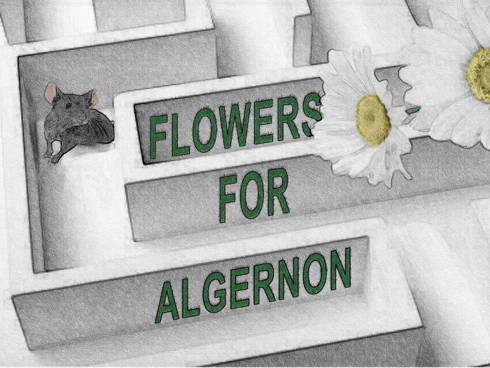 Irony in flowers for algernon