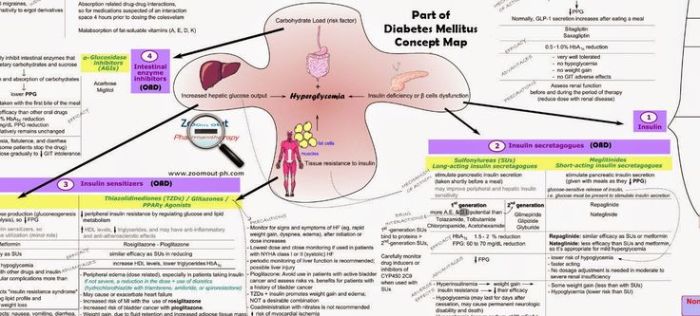 Mellitus pathophysiology pharmacology