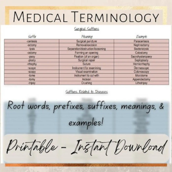 The root in the term gastrodynia means