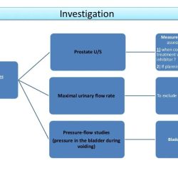 Benign prostatic hyperplasia hesi case study