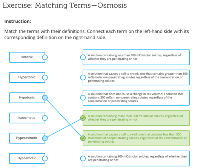 Match the ncrna functions with their definitions