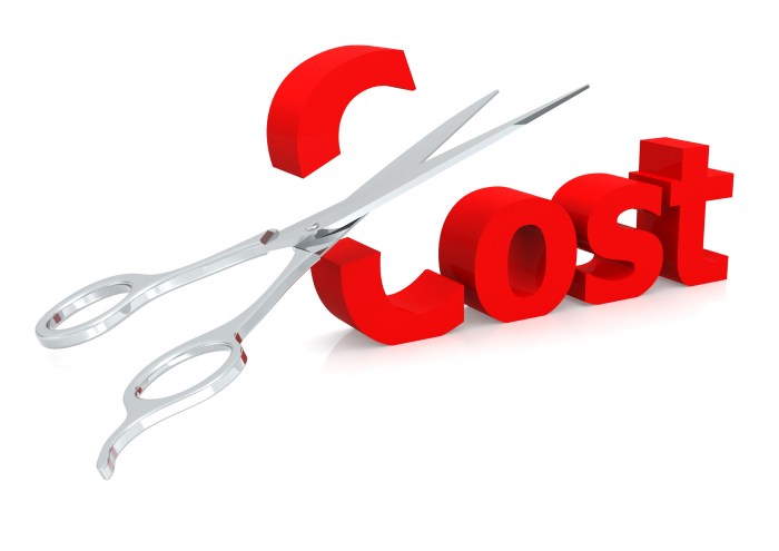 Costs operational reduce reducing firms